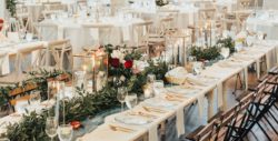 Collected and Co. Event Design